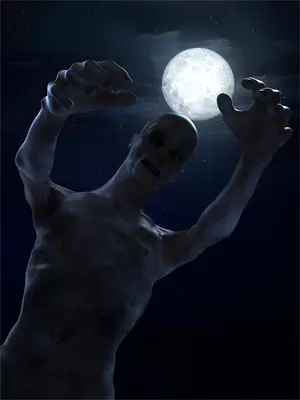 anki顾颂安
