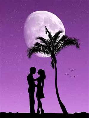 男友结婚前女友抢婚