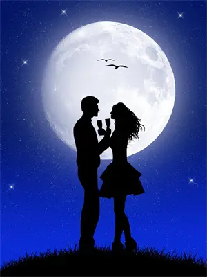 全球进化小说阅读