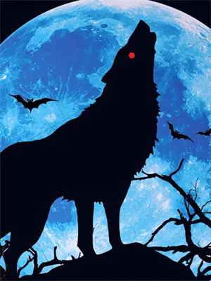 来自好姐妹的吐槽